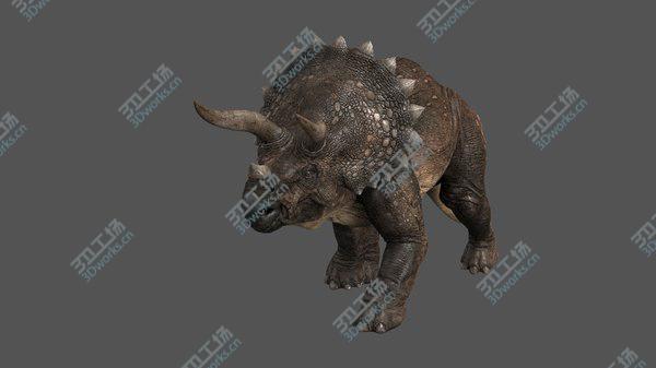 images/goods_img/20210312/Triceratops animations 3D model/3.jpg